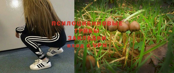 амф Абаза