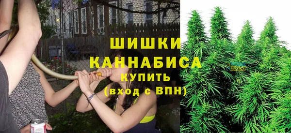 амф Абаза